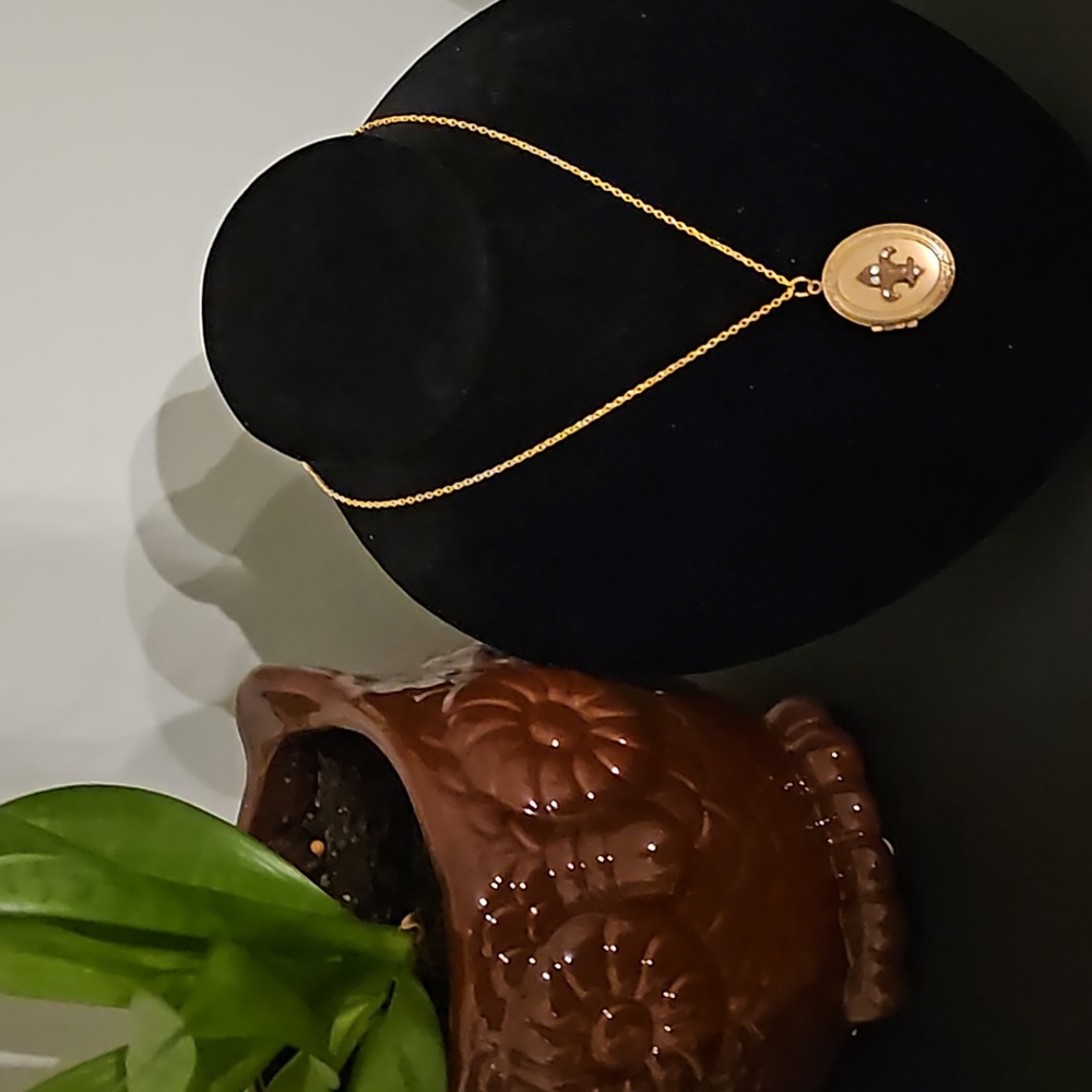 Fluer de lis rhinestone locket goldstone.